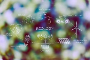 L’Italia conferma lo stop ai motori endotermici dal 2035