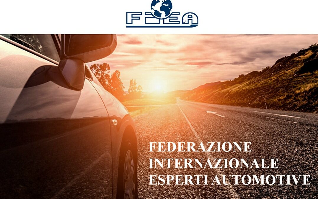 Assemblea Generale FIEA 2024